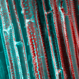Stacks Image 1057