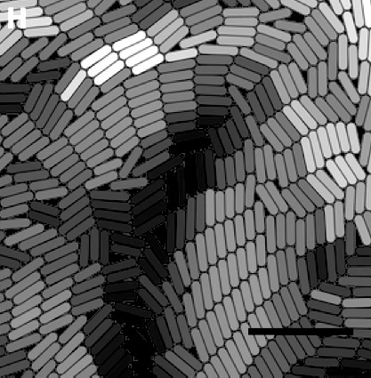 Stacks Image 52219