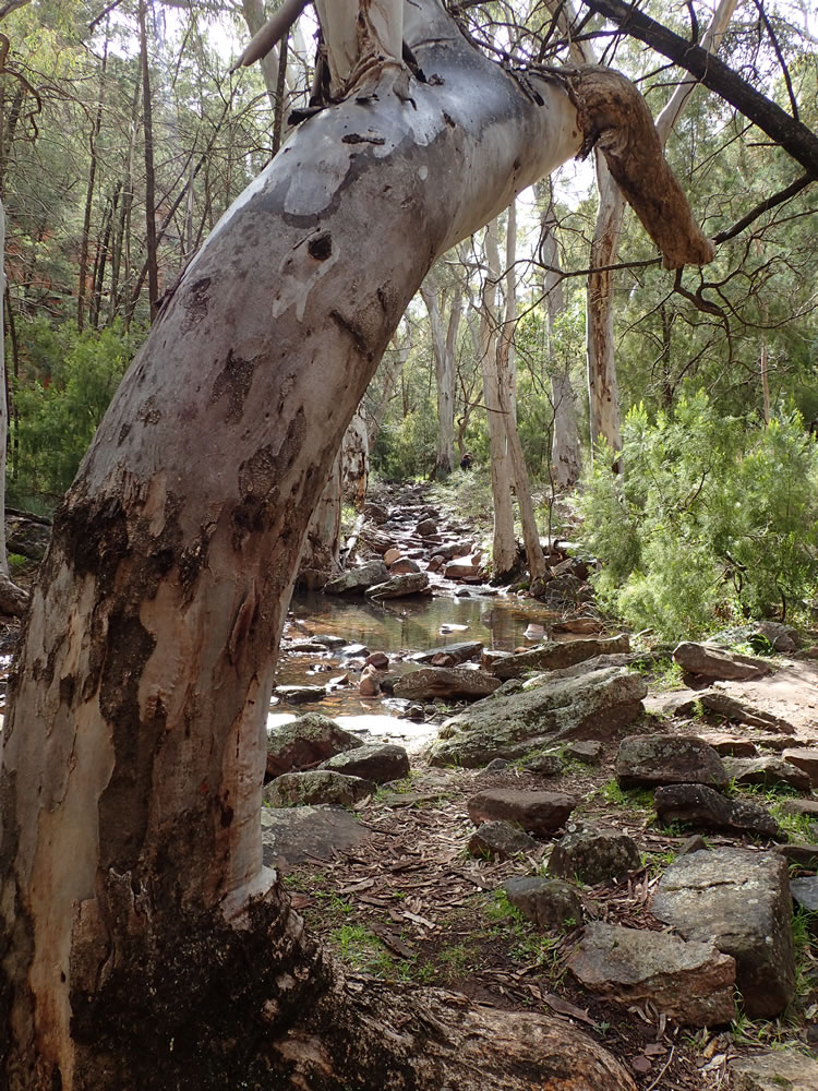 Stacks Image 69